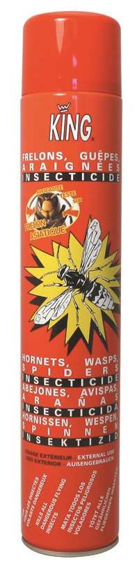 INSECTICIDE KING ANTI-FRELONS SURPUISSANT 750ML