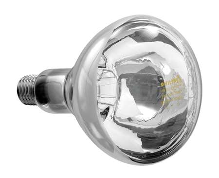 LAMPE INFRAROUGE IWL250D-W